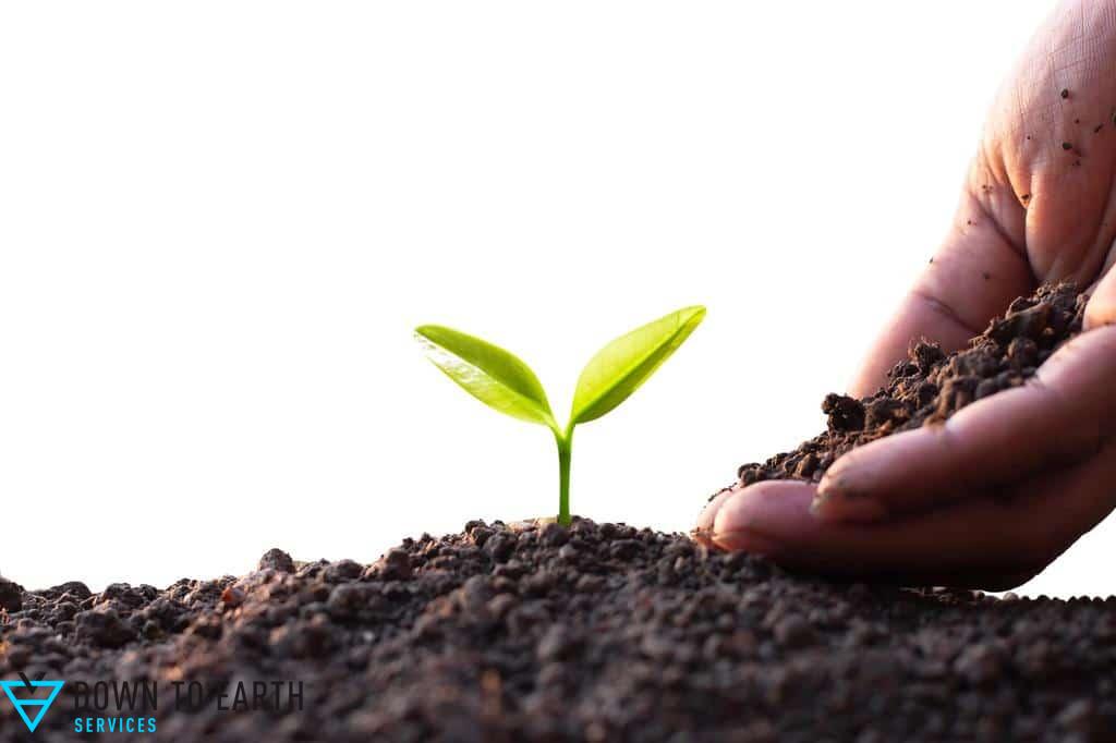 soil preparation planting natives